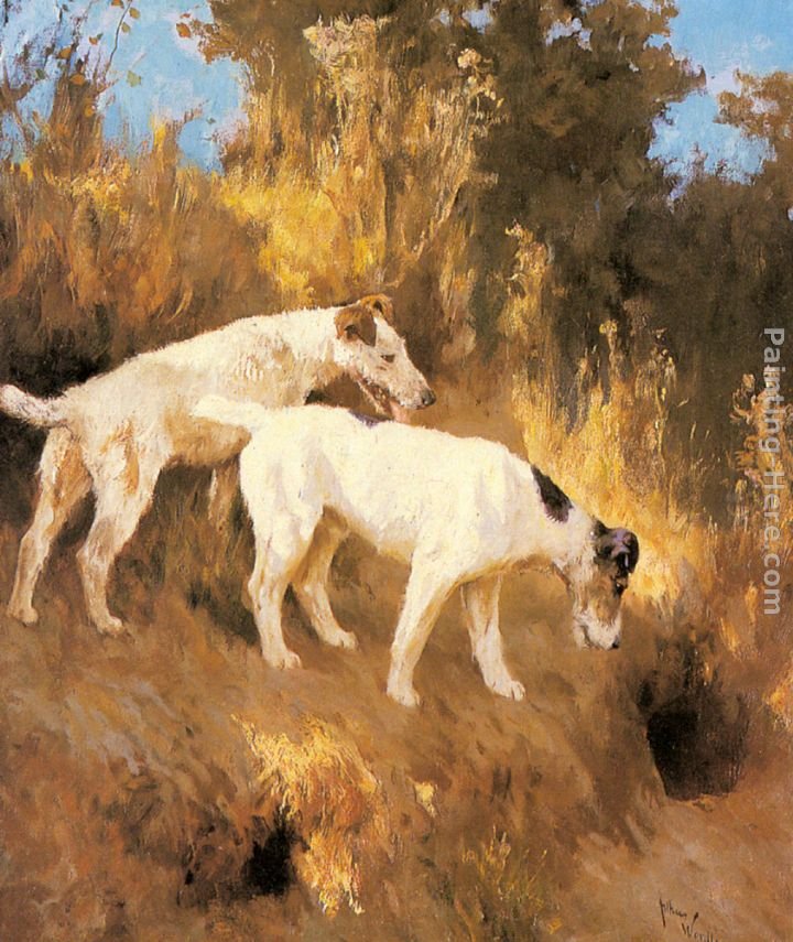 Arthur Wardle Terriers On The Scent
